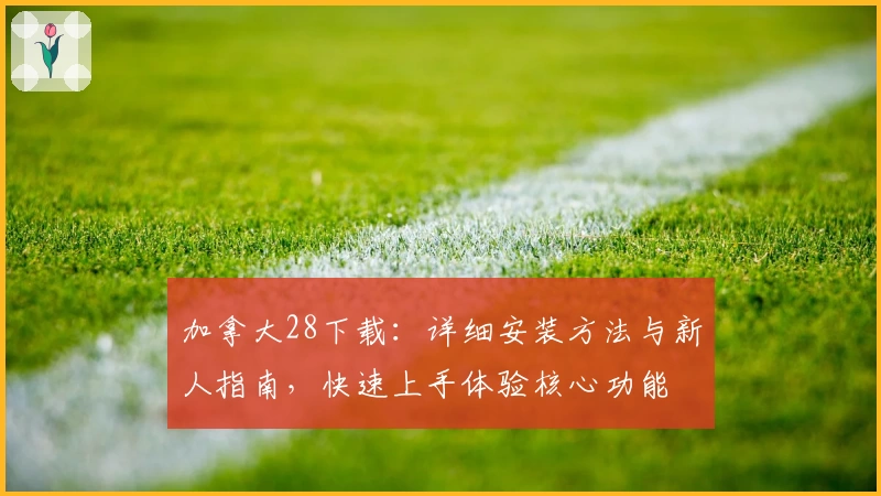 加拿大28下载：详细安装方法与新人指南，快速上手体验核心功能