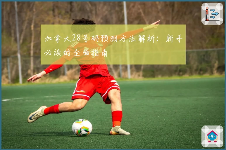 加拿大28号码预测方法解析：新手必读的全面指南