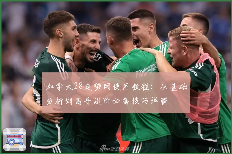 加拿大28走势网使用教程:从基础分析到高手进阶必备技巧详解