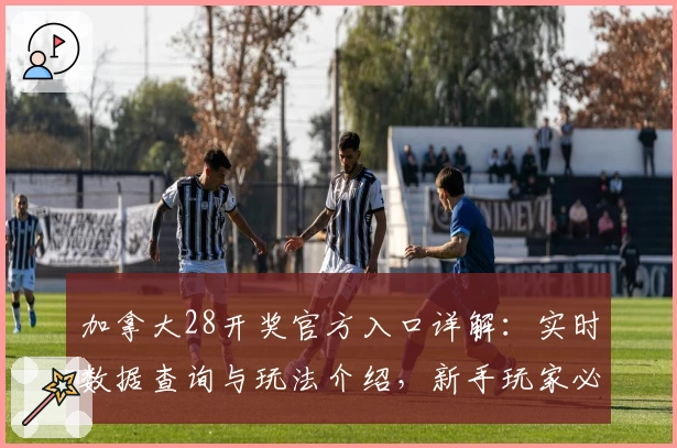 加拿大28开奖官方入口详解：实时数据查询与玩法介绍，新手玩家必读注册教程