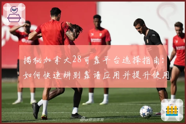 揭秘加拿大28可靠平台选择指南：如何快速辨别靠谱应用并提升使用体验