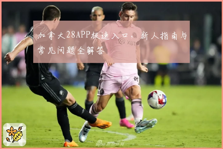 加拿大28APP极速入口,新人指南与常见问题全解答