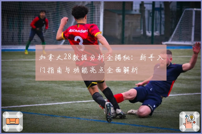 加拿大28数据分析全揭秘:新手入门指南与功能亮点全面解析