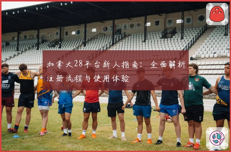 加拿大28平台新人指南:全面解析注册流程与使用体验