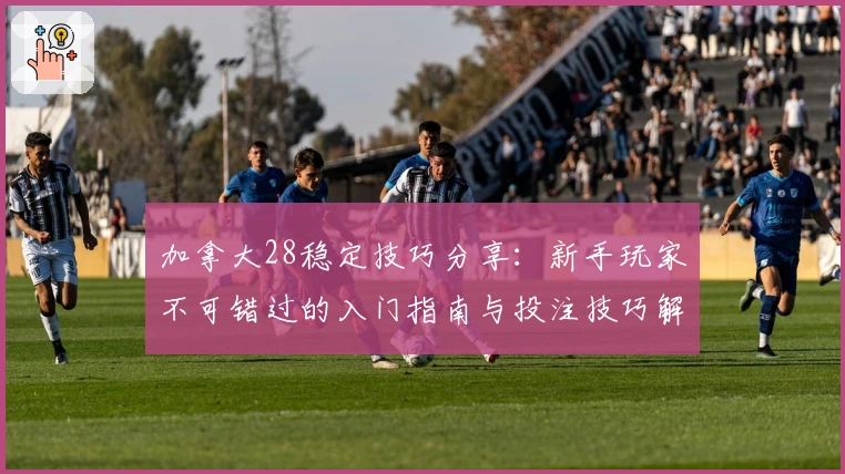 加拿大28稳定技巧分享：新手玩家不可错过的入门指南与投注技巧解读