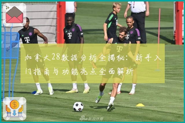 加拿大28数据分析全揭秘：新手入门指南与功能亮点全面解析