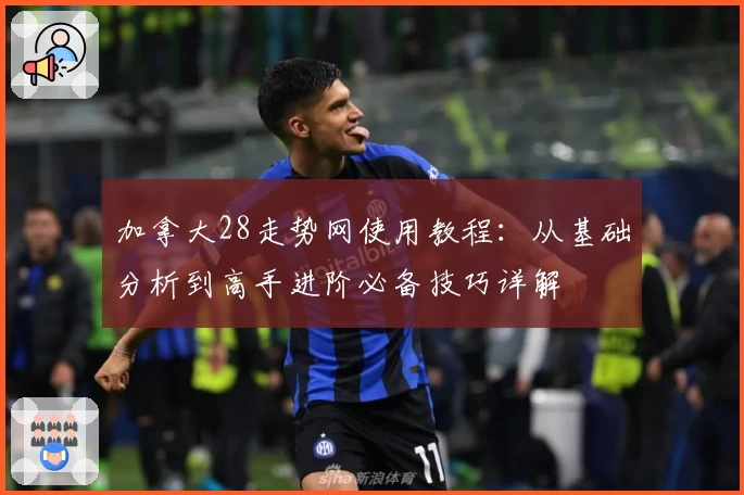 加拿大28走势网使用教程：从基础分析到高手进阶必备技巧详解