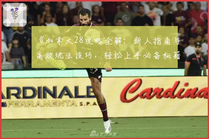 《加拿大28攻略全解：新人指南与高效玩法技巧，轻松上手必备秘籍》