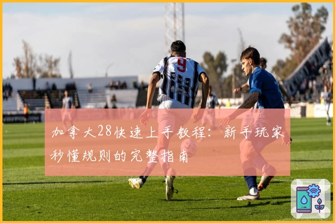 加拿大28快速上手教程：新手玩家秒懂规则的完整指南