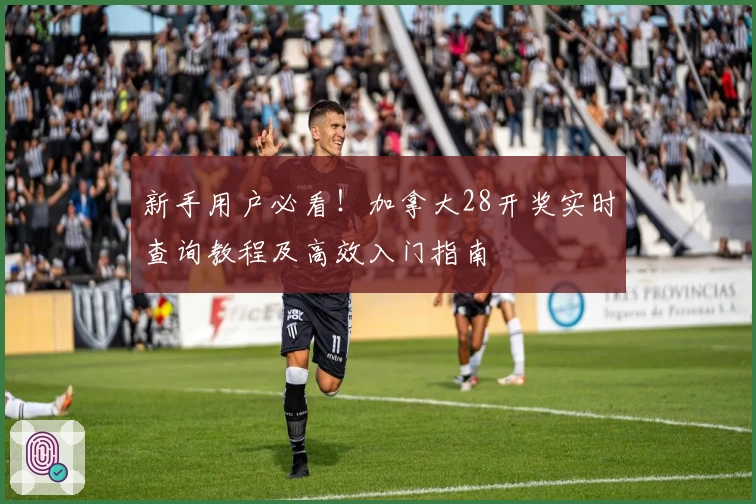 新手用户必看！加拿大28开奖实时查询教程及高效入门指南