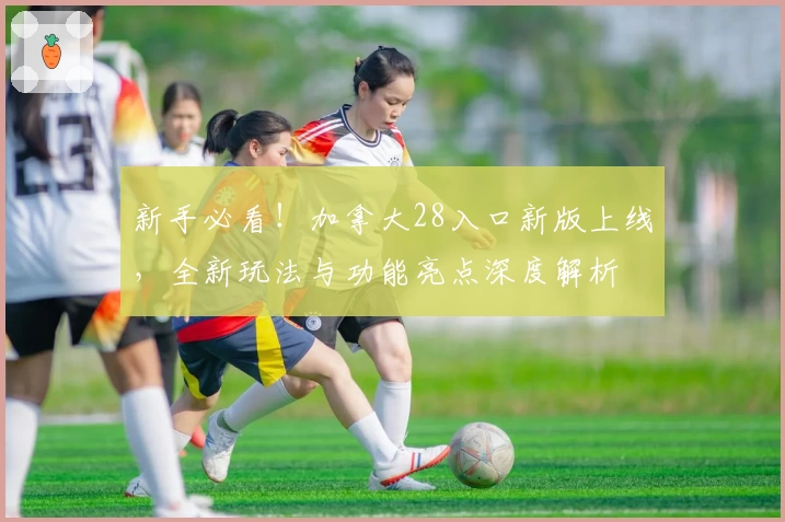新手必看!加拿大28入口新版上线,全新玩法与功能亮点深度解析