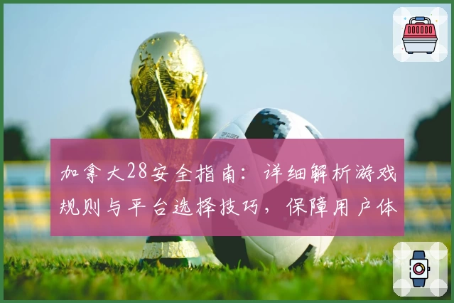 加拿大28安全指南:详细解析游戏规则与平台选择技巧,保障用户体验更安心