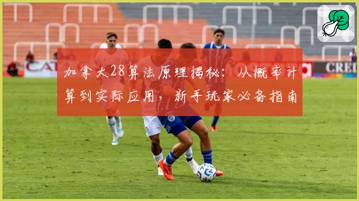 加拿大28算法原理揭秘：从概率计算到实际应用，新手玩家必备指南