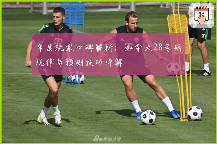 年度玩家口碑解析：加拿大28号码规律与预测技巧详解
