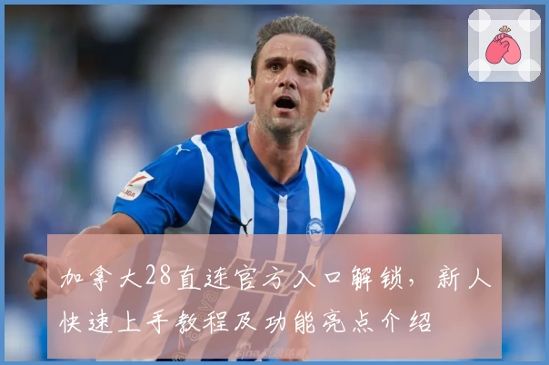 加拿大28直连官方入口解锁，新人快速上手教程及功能亮点介绍