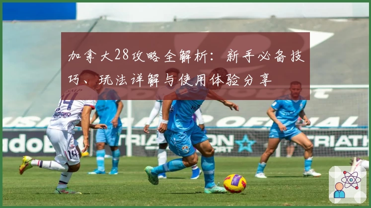 加拿大28攻略全解析：新手必备技巧、玩法详解与使用体验分享