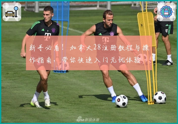 新手必看！加拿大28注册教程与操作指南，带你快速入门无忧体验