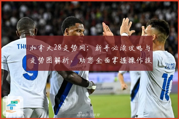 加拿大28走势网:新手必读攻略与走势图解析,助您全面掌握操作技巧