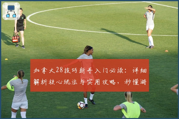 加拿大28技巧新手入门必读：详细解析核心玩法与实用攻略，秒懂游戏逻辑从此告别盲目尝试