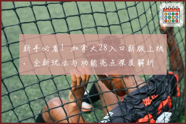 新手必看！加拿大28入口新版上线，全新玩法与功能亮点深度解析