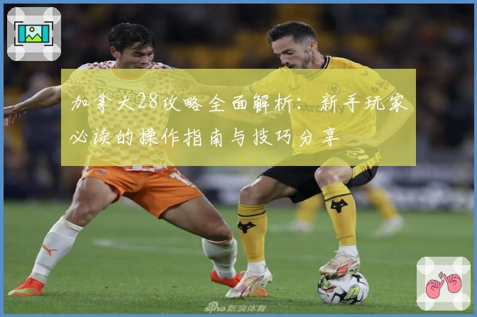 加拿大28攻略全面解析：新手玩家必读的操作指南与技巧分享