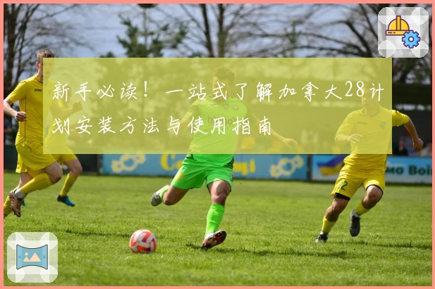 新手必读！一站式了解加拿大28计划安装方法与使用指南