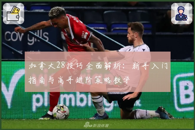 加拿大28技巧全面解析：新手入门指南与高手进阶策略教学