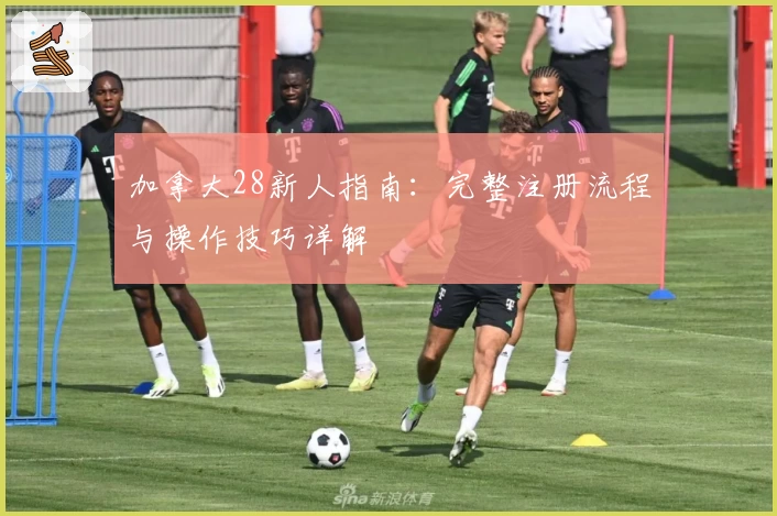 加拿大28新人指南：完整注册流程与操作技巧详解