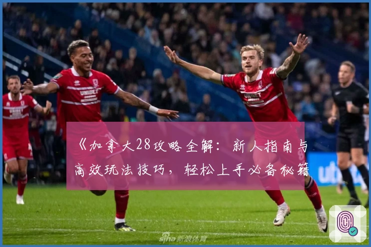 《加拿大28攻略全解：新人指南与高效玩法技巧，轻松上手必备秘籍》