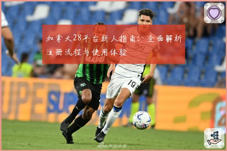 加拿大28平台新人指南：全面解析注册流程与使用体验