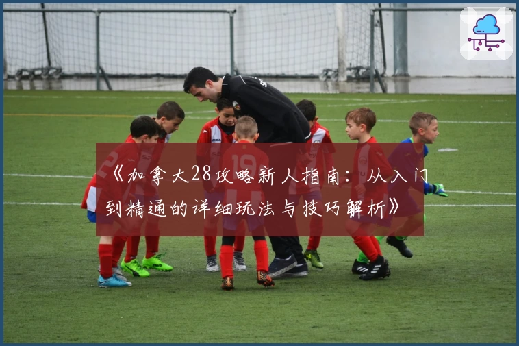 《加拿大28攻略新人指南：从入门到精通的详细玩法与技巧解析》