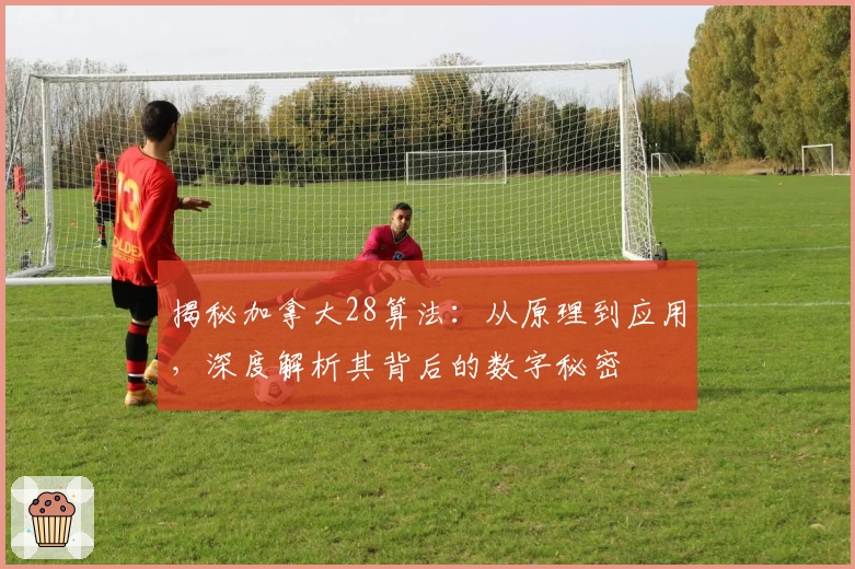 揭秘加拿大28算法：从原理到应用，深度解析其背后的数字秘密