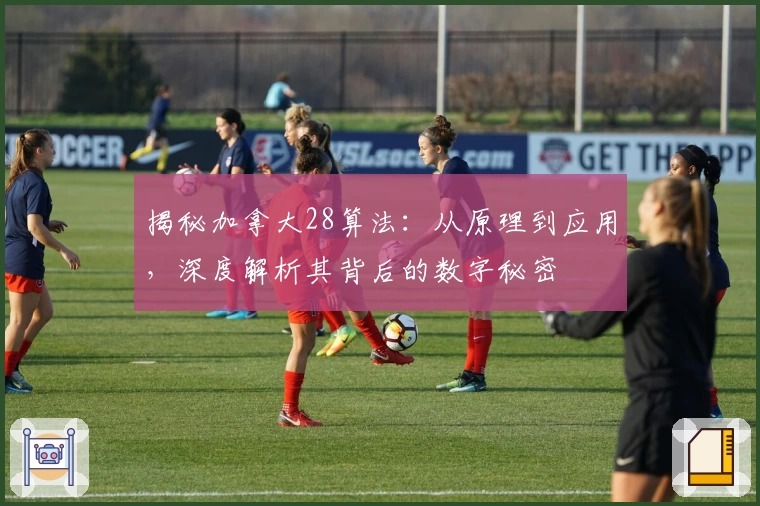 揭秘加拿大28算法：从原理到应用，深度解析其背后的数字秘密