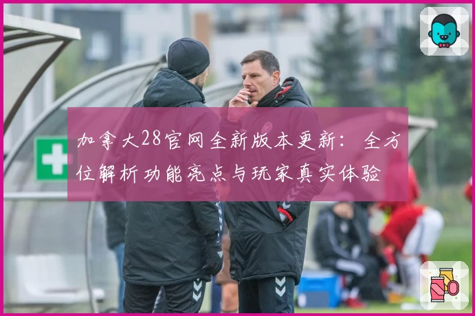 加拿大28官网全新版本更新：全方位解析功能亮点与玩家真实体验